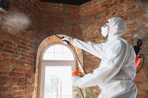 Best Residential Mold Inspection & Testing in USA